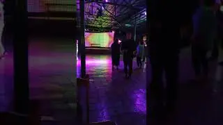 disco alakol