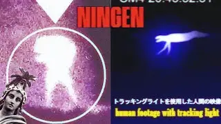 There's Something HIDDEN in Antarctica | The Ningen Analog Horror Series