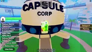 BEST Time Chamber + Chamber Locations | Roblox Dragon Ball Legendary Forces