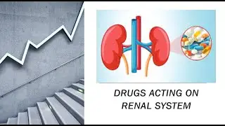 DRUGS ACTING ON RENAL SYSTEM   Made with Clipchamp