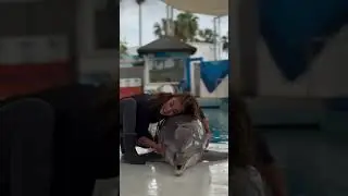 Говорит что то