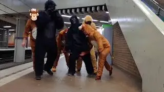 Da Hook - Apes (Official Video)