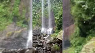 Curug manglid