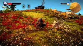 Witcher 3 - Archgriffin Fight