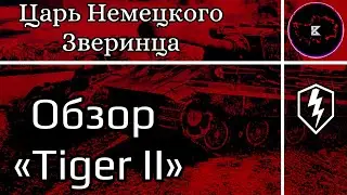 Царь Зверинца • Обзор Tiger II /Boom Pro 216\