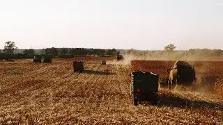 Kukurydza 2018  GR Ptaszkowo  Rostelmash , New Holland, Claas!