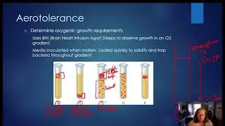 Micro Lab Aerotolerance