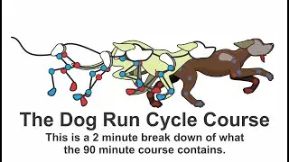 Locomotion Cycles: The Dog Run Cycle Course (How to animate a dogs' run cycle)