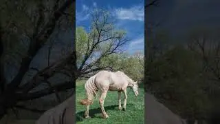 Весна... травень...
