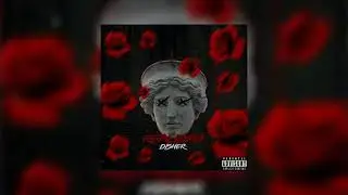 DISHER - REALIDAD 2019