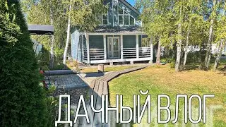 Наша дача после трех недель отсутствия.