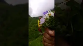 Devbhumi #nature #love 🌍#trending#video #Bablugoswami#vlog