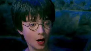 [FR] Harry l'orphelin