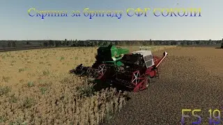 Скрины FS 19 за стрим с бригадой СФГ СОКОЛИ!