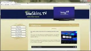 SiteSkins: Understanding Browser Cache