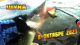 Спиннинг 2023. Ловля щуки осенью.