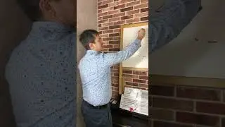 Загадка Какого цвета медведь?!