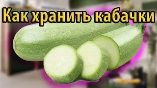 Как хранить кабачки до лета