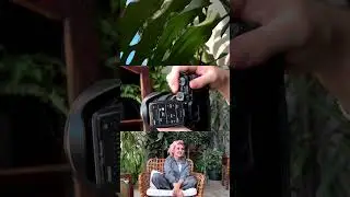 МЕЧТЫ о скором лете