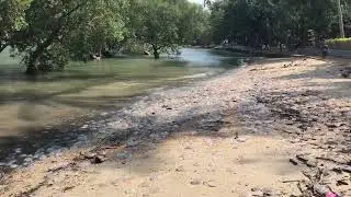 Тайские медузы