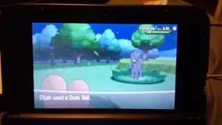 Pokemon x and y shiny furfrou on 40 chain