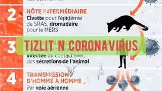 tizlit  n covid-19