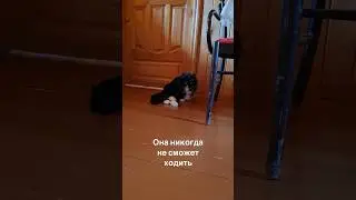 Тортика все забыли…😭