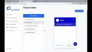 How to customize your Chat view with PlugtoChat Widgets? | PlugtoChat Chat Plugin | PlugtoChat