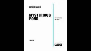 Lior Navok: 