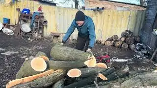 ЕЛЕКТРО - ПИЛА Einhell GH-EC 2040