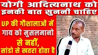 UP Election 2022, क्या है उत्तर प्रदेश में गौ माता की हालत | India's 'cow vigilantes | AGE OF YOUTH