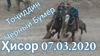 Бузкаши Хисор_07.03.2020 Тоҷиддин бо аспи Чёрный бумер