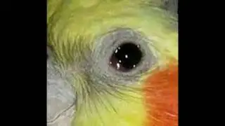hey 🅱️irb want some seed?