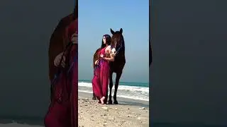 Photo shoot in Dubai beach