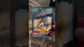 A warm hug on a hard day 💌🦋💓 #tarot #tarotcards #tarotreader #fypシ゚viral #fyp