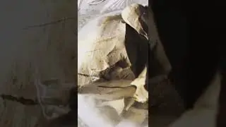 Водная колка «Уральская» #мелоежка #глина #асмр #асмрглиномел