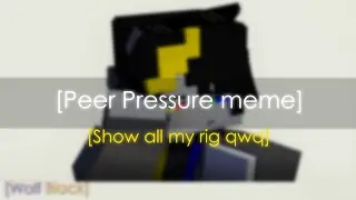 Peer Pressure meme│Minecraft Animation│(Show all my rig qwq)