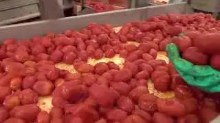 as is done . tomato 🍅. как это сделано