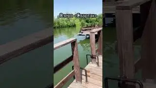 Озеро Спартак, беседки #новосибирск