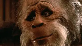 #BIGFOOT  / В поисках большенога / Лесные пилюля №6