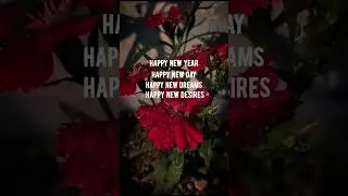 Happy New Year to all future doctors 🩺💊 #neet #2024 #newyear