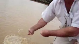 a Carpa que escapou