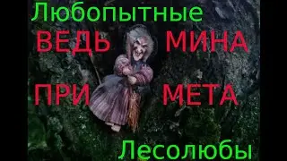 Старая ведьма рассказала "берёзовую" примету