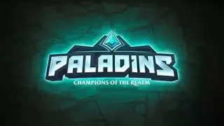 Paladins. PVE каточка