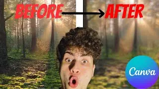 How to Blur Image in Canva (2025) – Blur Whole or Part of Photo Fast!