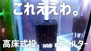 A magically modified sponge bubbling filter. A thorough review of the true nature of this all-inc...