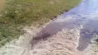Воловица,разлив 2018.Дорога на пляж!