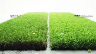 Werken met Royal Grass is trainingen - innovatieve producten - recycling