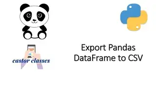 Export Pandas DataFrame to CSV | Python
