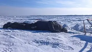 Рыбалка на Амуре. Слабонервным в конце не смотреть